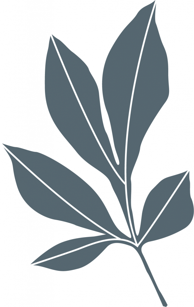 DENW leaf1