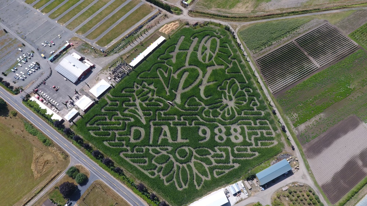 Corn maze 2022
